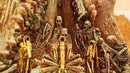 Necrophosis : Full Consciousness & The Shore Double Pack (Playstation 5) 5060690798088