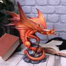 NEMESIS NOW ADULT FIRE DRAGON (AS) 24.5CM 801269131876