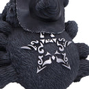 NEMESIS NOW ARACHNIAS 801269158682
