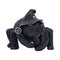 NEMESIS NOW ARACHNIAS 801269158682