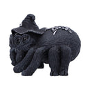 NEMESIS NOW ARACHNIAS 801269158682