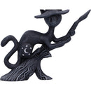 NEMESIS NOW BEWITCH 15CM 801269158859