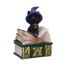 NEMESIS NOW BINX 11CM 801269140014