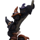 NEMESIS NOW BROOMSTICK KINDLE 21CM 801269156121