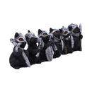 NEMESIS NOW CAT CRUSADERS (SET OF 6) 801269156336