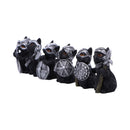 NEMESIS NOW CAT CRUSADERS (SET OF 6) 801269156336