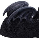 NEMESIS NOW CAT NAP 18CM 801269148416