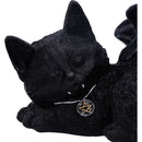 NEMESIS NOW CAT NAP 18CM 801269148416