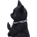 NEMESIS NOW CATTITUDE 16.5CM 801269142896