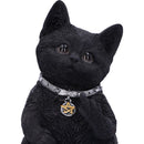 NEMESIS NOW CATTITUDE 16.5CM 801269142896