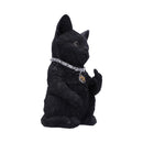 NEMESIS NOW CATTITUDE 16.5CM 801269142896