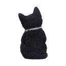 NEMESIS NOW CATTITUDE 16.5CM 801269142896