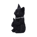 NEMESIS NOW CATTITUDE 16.5CM 801269142896