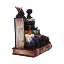 NEMESIS NOW COVEN KEEPERS ASSORTED 8012699990045