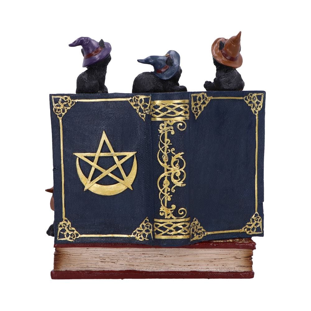 NEMESIS NOW COVEN KEEPERS ASSORTED 8012699990045