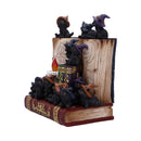 NEMESIS NOW COVEN KEEPERS ASSORTED 8012699990045