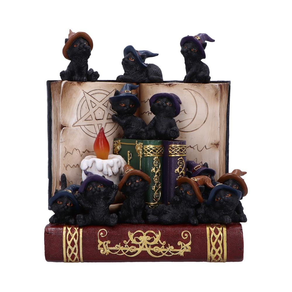 NEMESIS NOW COVEN KEEPERS ASSORTED 8012699990045
