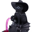 NEMESIS NOW CULT CUTIES CURIOUS CAULDRON 801269158651