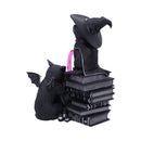 NEMESIS NOW CULT CUTIES CURIOUS CAULDRON 801269158651