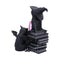 NEMESIS NOW CULT CUTIES CURIOUS CAULDRON 801269158651