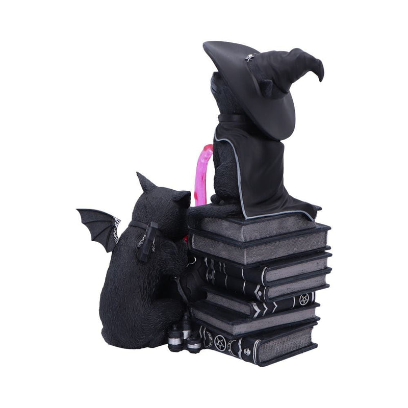 NEMESIS NOW CULT CUTIES CURIOUS CAULDRON 801269158651