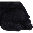 NEMESIS NOW DAYDREAM 13CM 801269153892