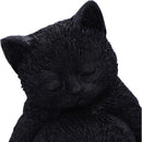NEMESIS NOW DAYDREAM 13CM 801269153892
