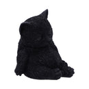 NEMESIS NOW DAYDREAM 13CM 801269153892