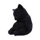 NEMESIS NOW DAYDREAM 13CM 801269153892