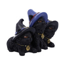 NEMESIS NOW FAMILIAR FELINES 9,8CM 801269142667