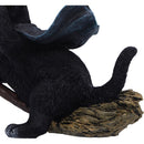 NEMESIS NOW FAMILIAR FLIGHT 14.5CM 801269157975