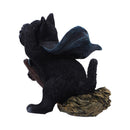 NEMESIS NOW FAMILIAR FLIGHT 14.5CM 801269157975