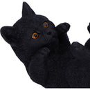 NEMESIS NOW FAMILIAR HELPER 12,5CM 801269153915