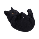 NEMESIS NOW FAMILIAR HELPER 12,5CM 801269153915
