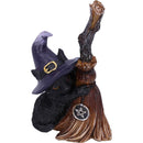NEMESIS NOW FAMILIARS BROOM 11,5CM 801269144456