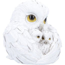 NEMESIS NOW FEATHERED NEST 10.7CM 801269161057
