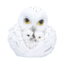 NEMESIS NOW FEATHERED NEST 10.7CM 801269161057