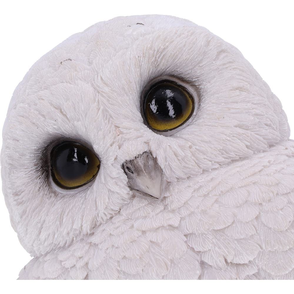 NEMESIS NOW FEATHERS 12,5CM 801269142100