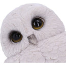 NEMESIS NOW FEATHERS 12,5CM 801269142100