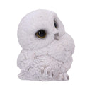 NEMESIS NOW FEATHERS 12,5CM 801269142100