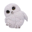 NEMESIS NOW FEATHERS 12,5CM 801269142100