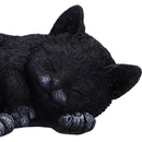 NEMESIS NOW FELINE DREAM 11.3CM 801269157951