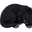 NEMESIS NOW FELINE DREAM 11.3CM 801269157951
