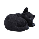 NEMESIS NOW FELINE DREAM 11.3CM 801269157951