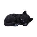 NEMESIS NOW FELINE DREAM 11.3CM 801269157951