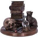 NEMESIS NOW FELINE SCHOLARS 18CM 801269155933