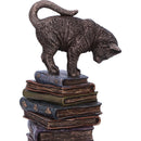 NEMESIS NOW FELINE SCHOLARS 18CM 801269155933