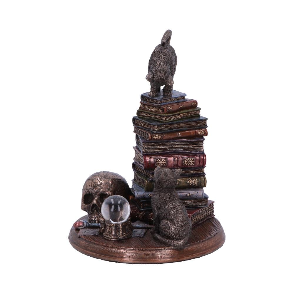 NEMESIS NOW FELINE SCHOLARS 18CM 801269155933