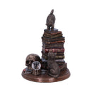 NEMESIS NOW FELINE SCHOLARS 18CM 801269155933