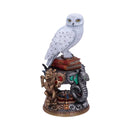 NEMESIS NOW HARRY POTTER HEDWIG FIGURINE 22CM 801269148850